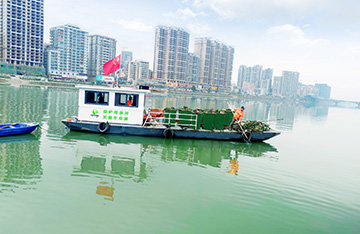 廣東省河源市龍川縣城區(qū)保潔市場化項(xiàng)目